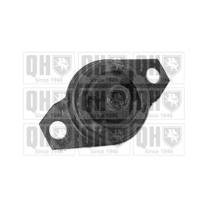 Variklio montavimas QUINTON HAZELL EM2098