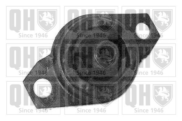 Variklio montavimas QUINTON HAZELL EM2098