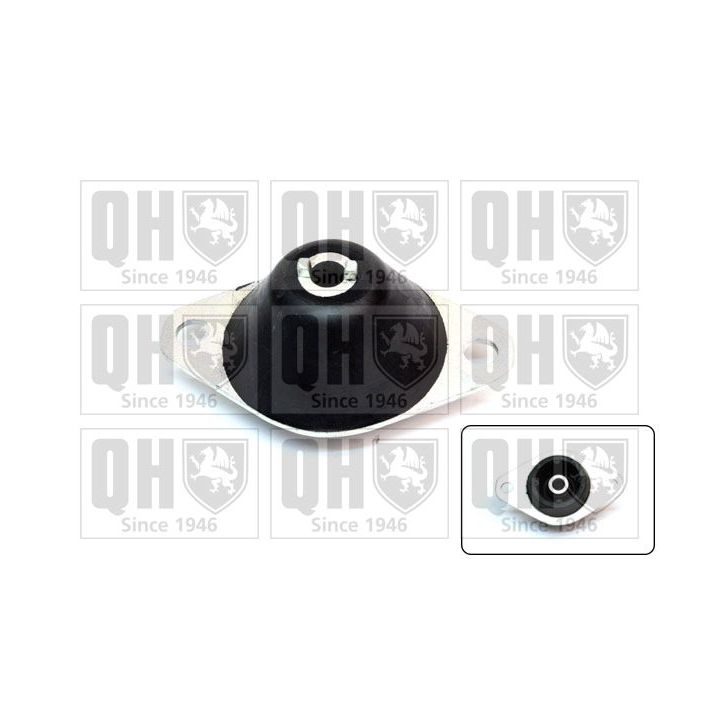 Variklio montavimas QUINTON HAZELL EM2126