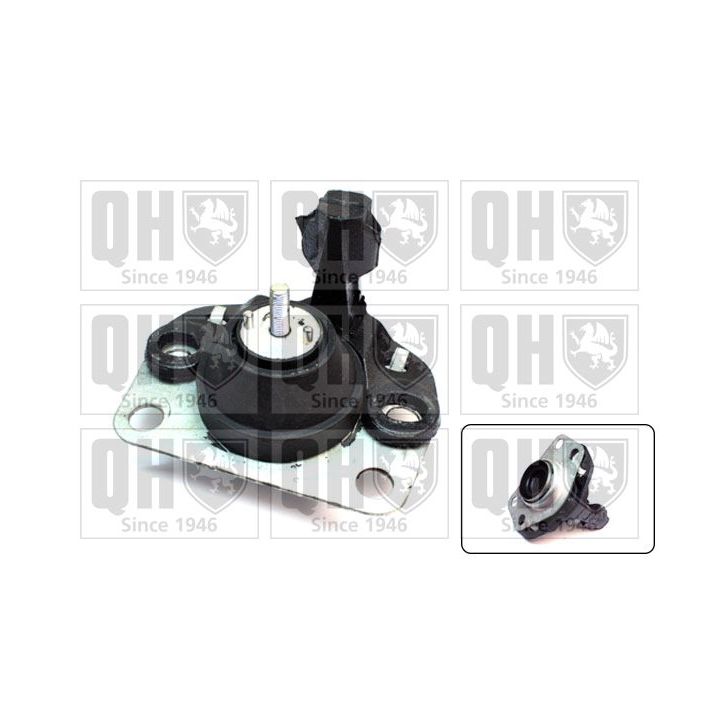 Variklio montavimas QUINTON HAZELL EM2168