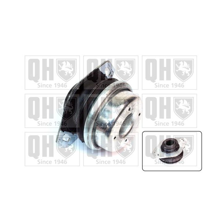 Variklio montavimas QUINTON HAZELL EM2518