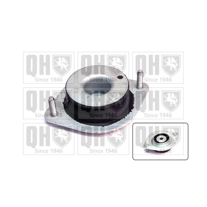 Variklio montavimas QUINTON HAZELL EM2816