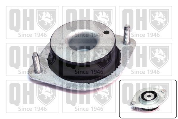 Variklio montavimas QUINTON HAZELL EM2816