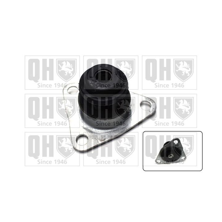 Variklio montavimas QUINTON HAZELL EM3134