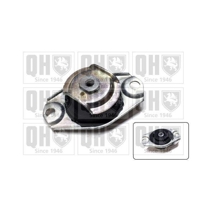 Variklio montavimas QUINTON HAZELL EM3144