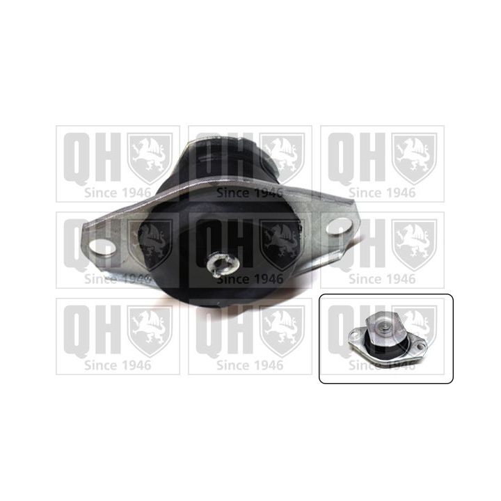 Variklio montavimas QUINTON HAZELL EM3145