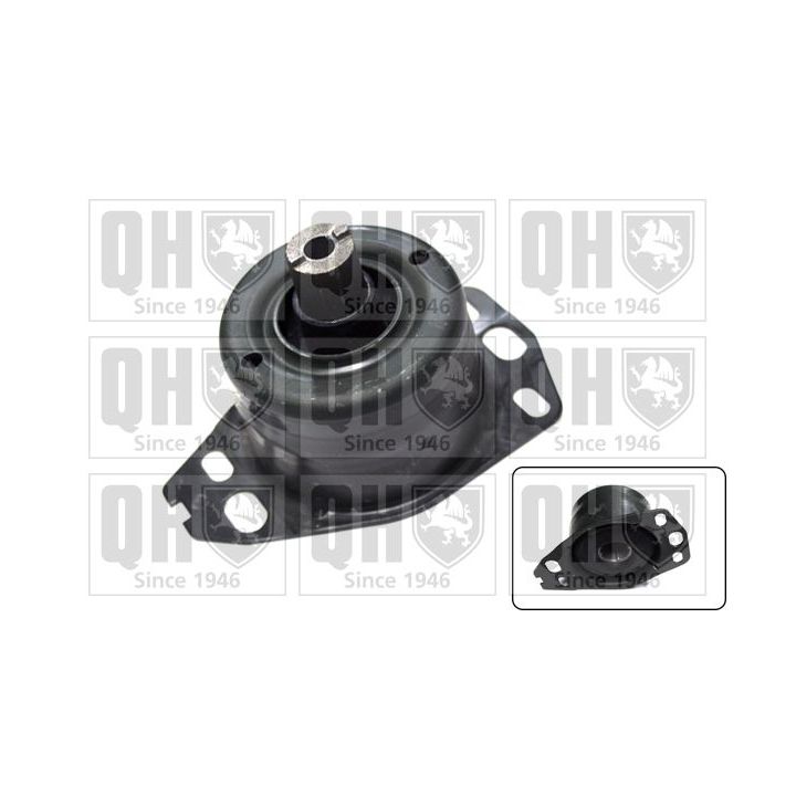 Variklio montavimas QUINTON HAZELL EM3147