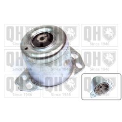 Variklio montavimas QUINTON HAZELL EM3153