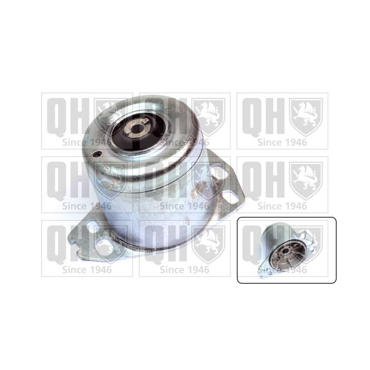 Variklio montavimas QUINTON HAZELL EM3153