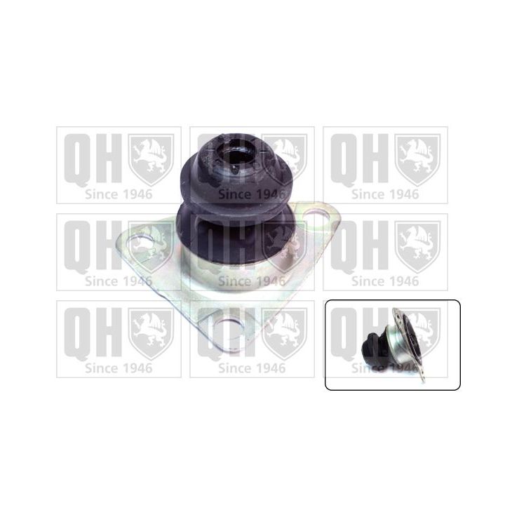 Variklio montavimas QUINTON HAZELL EM3160