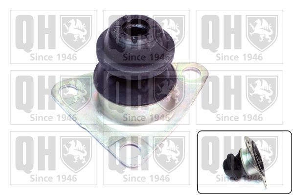 Variklio montavimas QUINTON HAZELL EM3160