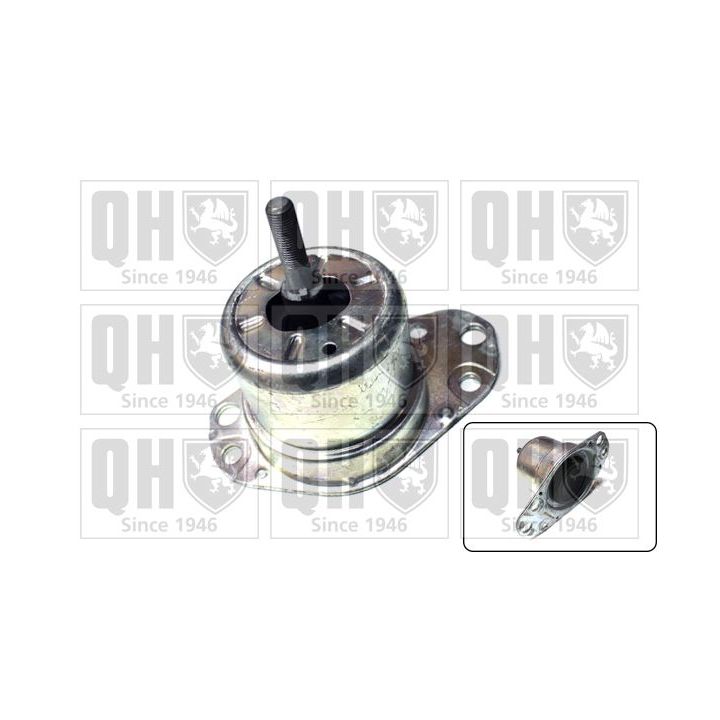 Variklio montavimas QUINTON HAZELL EM3162