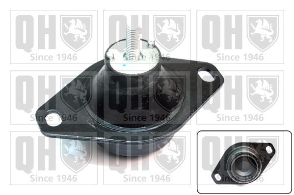 Variklio montavimas QUINTON HAZELL EM3178