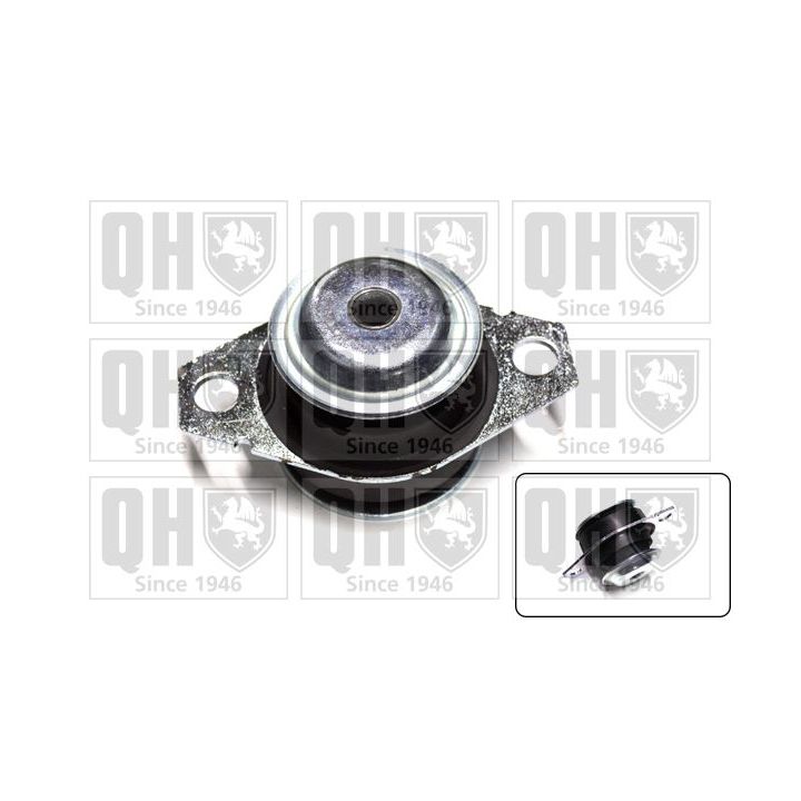 Variklio montavimas QUINTON HAZELL EM4057