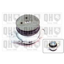 Variklio montavimas QUINTON HAZELL EM4059