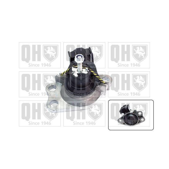 Variklio montavimas QUINTON HAZELL EM4153