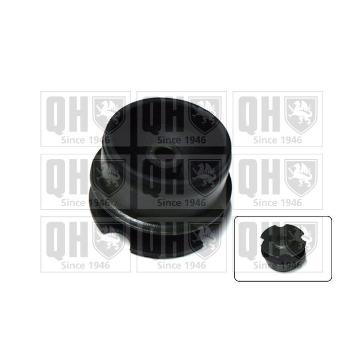 Variklio montavimas QUINTON HAZELL EM4194