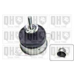 Variklio montavimas QUINTON HAZELL EM4221