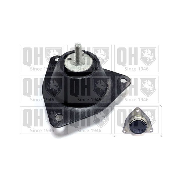 Variklio montavimas QUINTON HAZELL EM4234