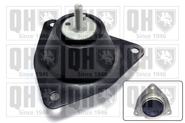 Variklio montavimas QUINTON HAZELL EM4234