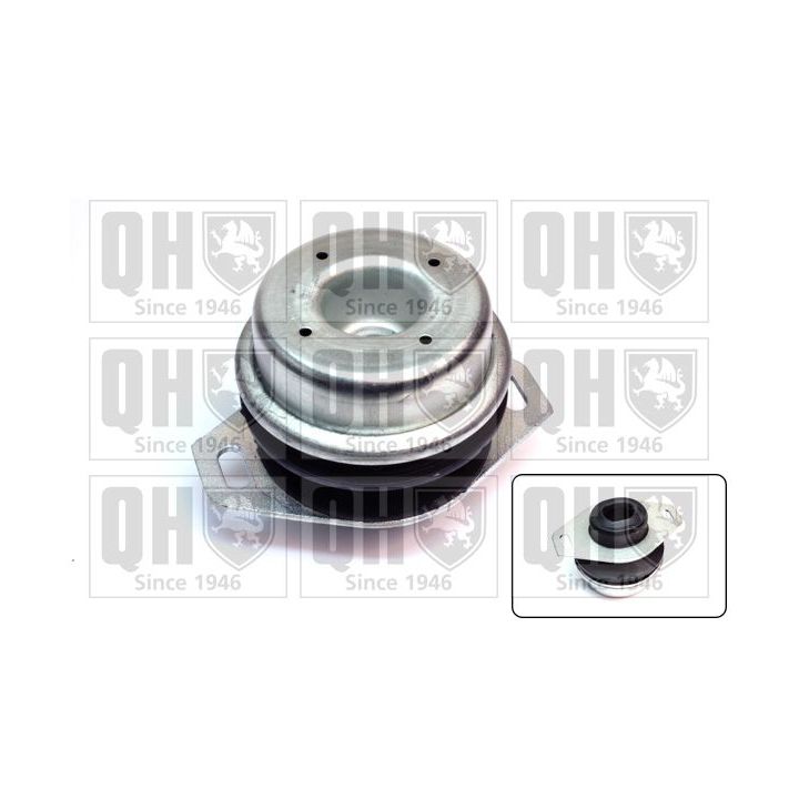 Variklio montavimas QUINTON HAZELL EM4241