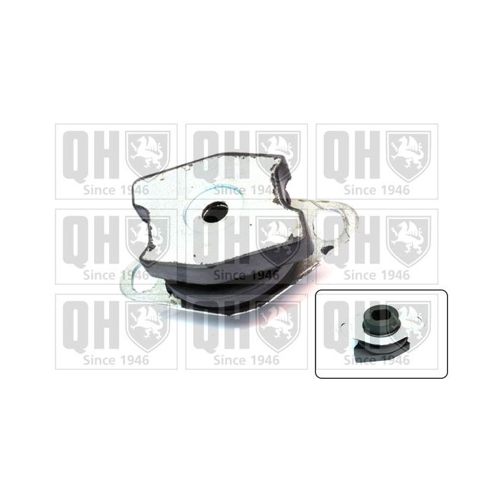 Variklio montavimas QUINTON HAZELL EM4291