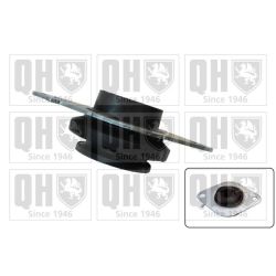 Variklio montavimas QUINTON HAZELL EM4302