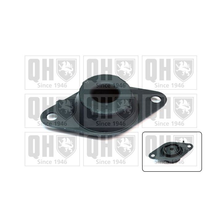 Variklio montavimas QUINTON HAZELL EM4326