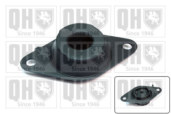 Variklio montavimas QUINTON HAZELL EM4326