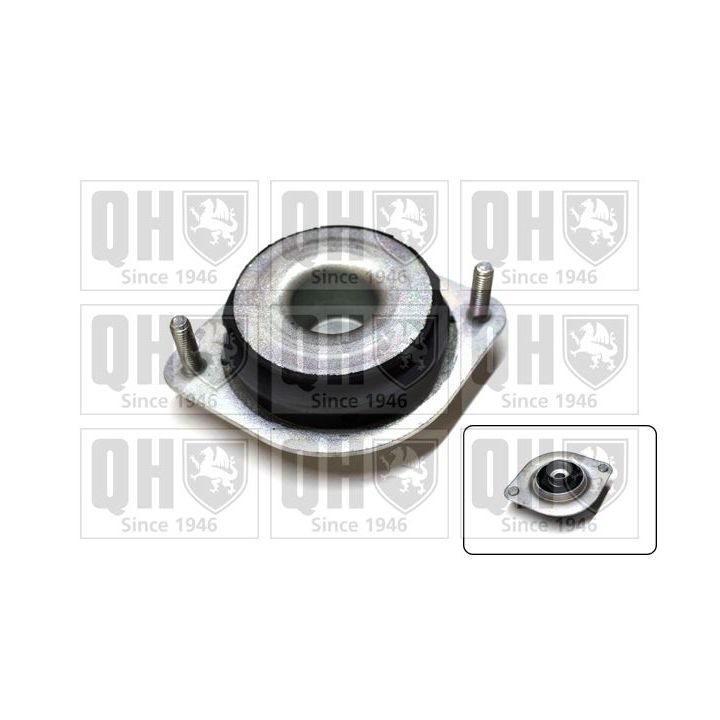 Variklio montavimas QUINTON HAZELL EM4327