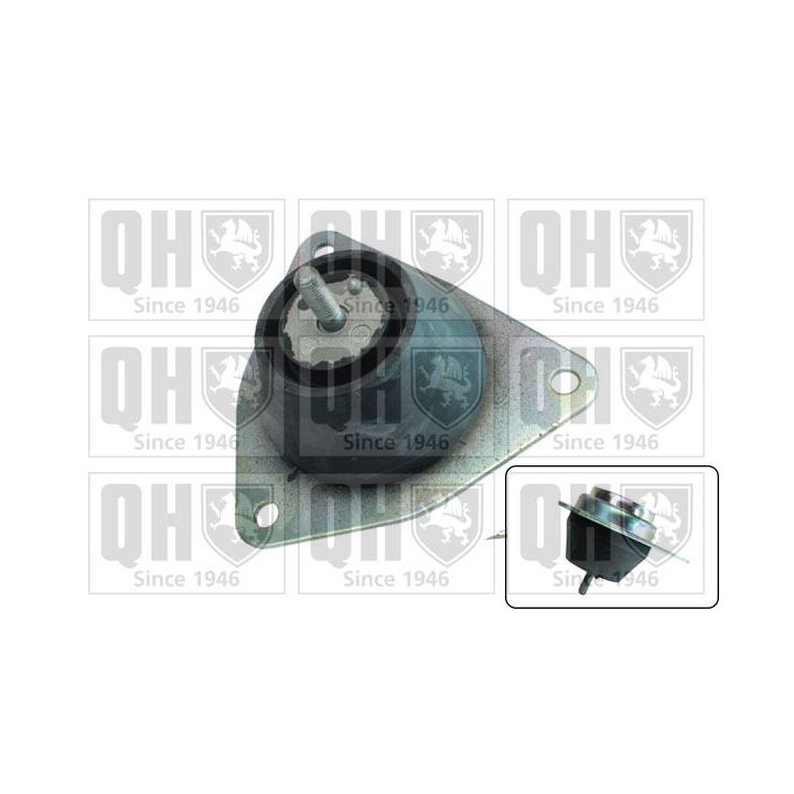 Variklio montavimas QUINTON HAZELL EM4393