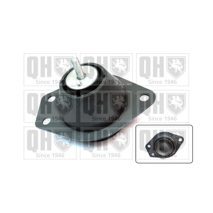 Variklio montavimas QUINTON HAZELL EM4419