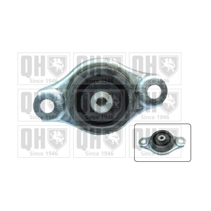 Variklio montavimas QUINTON HAZELL EM4566