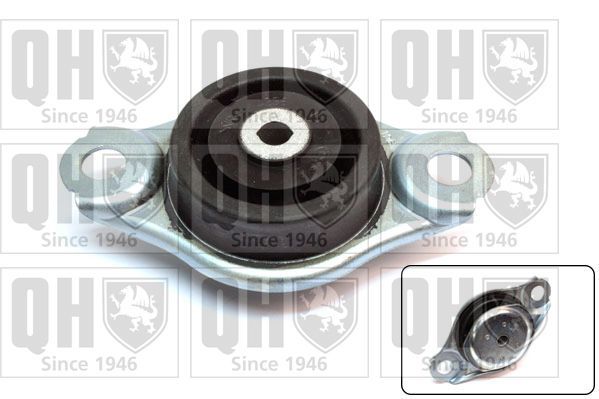 Variklio montavimas QUINTON HAZELL EM4567