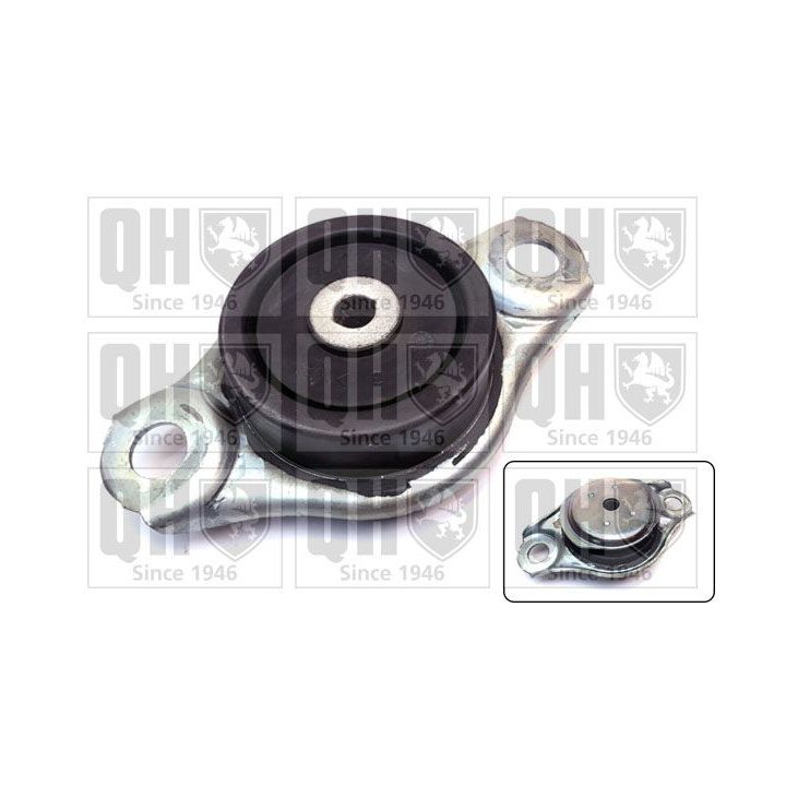 Variklio montavimas QUINTON HAZELL EM4568