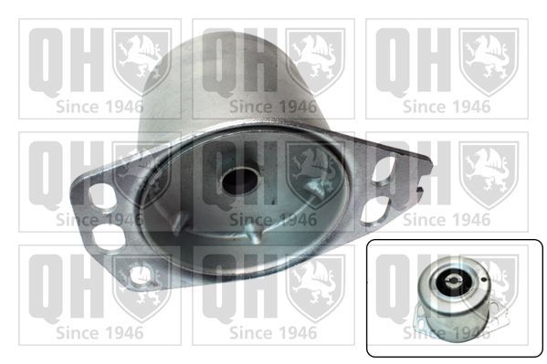 Variklio montavimas QUINTON HAZELL EM4573