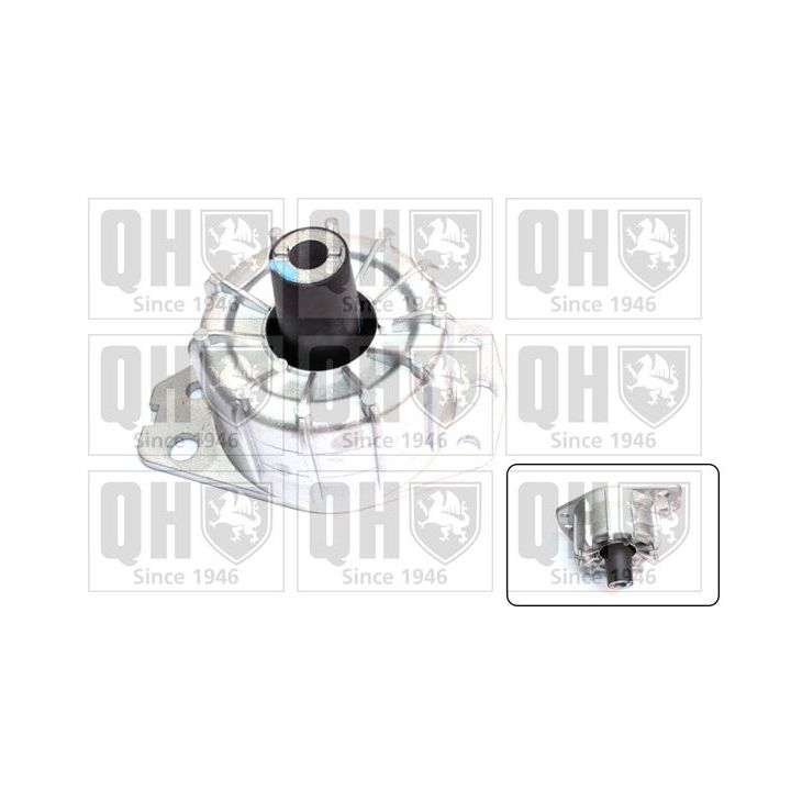 Variklio montavimas QUINTON HAZELL EM4614