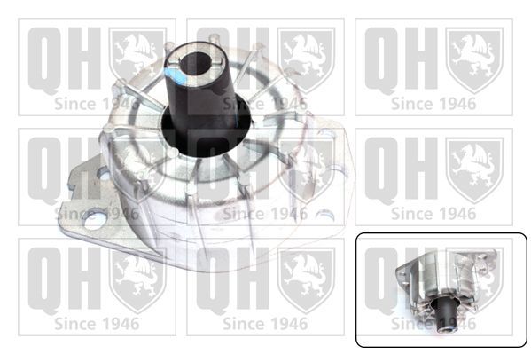 Variklio montavimas QUINTON HAZELL EM4614