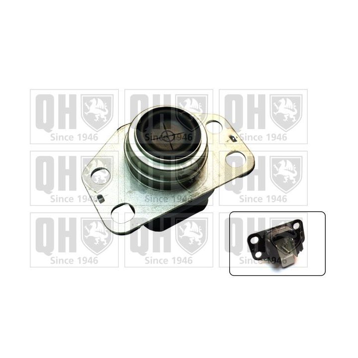 Variklio montavimas QUINTON HAZELL EM4629