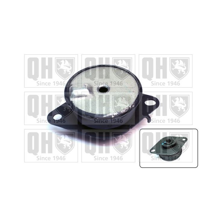 Variklio montavimas QUINTON HAZELL EM4690