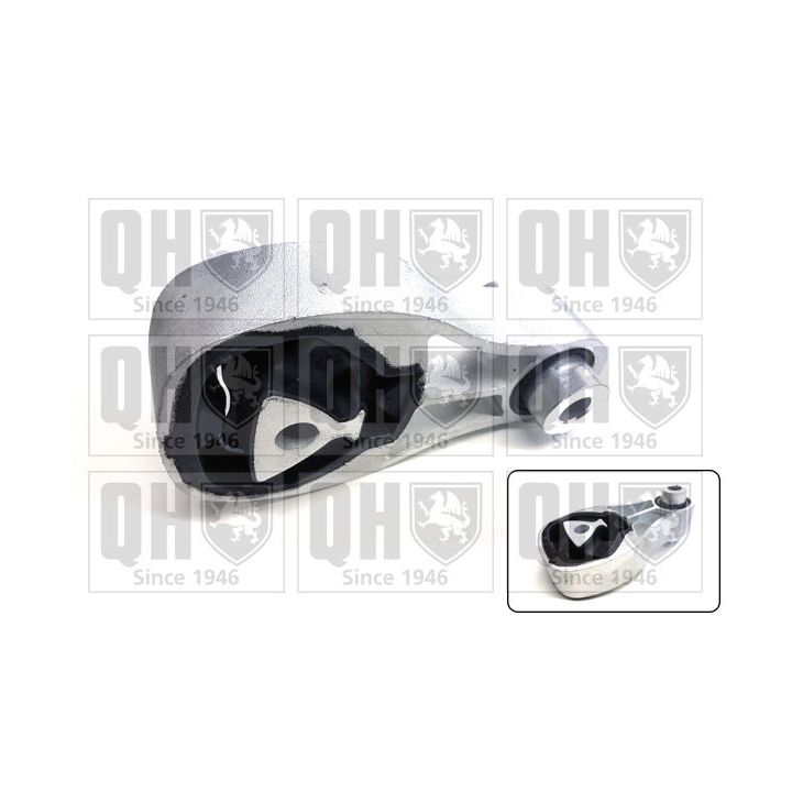 Variklio montavimas QUINTON HAZELL EM4816