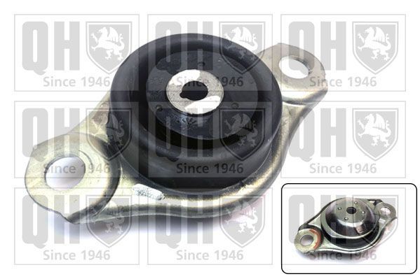 Variklio montavimas QUINTON HAZELL EM4825