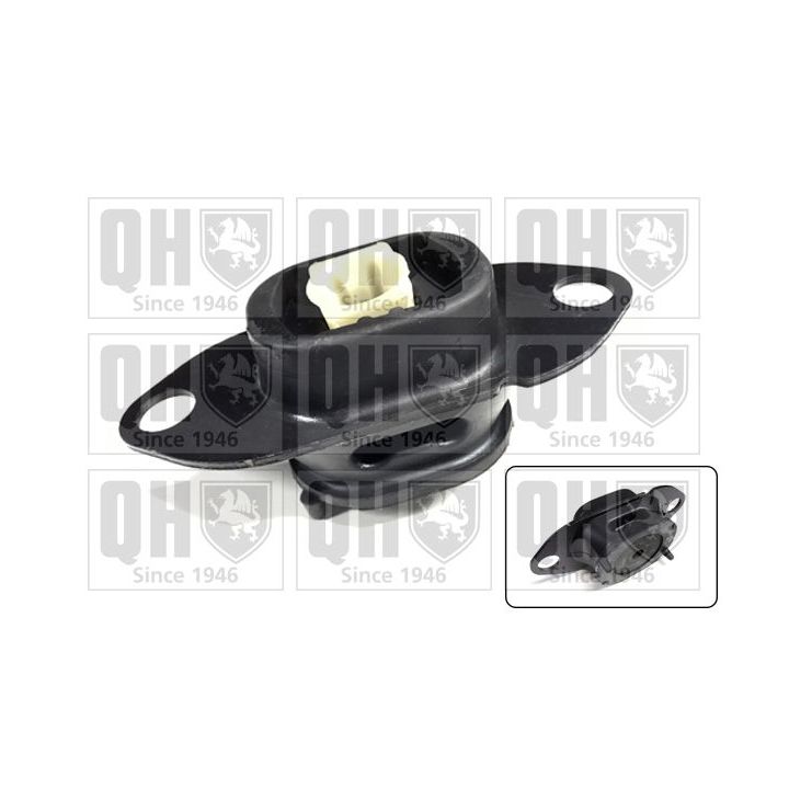 Variklio montavimas QUINTON HAZELL EM4850