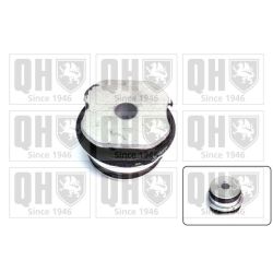 Valdymo svirties/išilginių svirčių įvorė QUINTON HAZELL EM3083