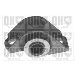 Valdymo svirties/išilginių svirčių įvorė QUINTON HAZELL EMS2664