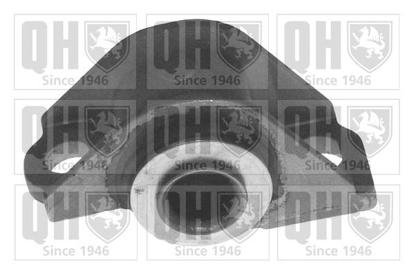 Valdymo svirties/išilginių svirčių įvorė QUINTON HAZELL EMS2664