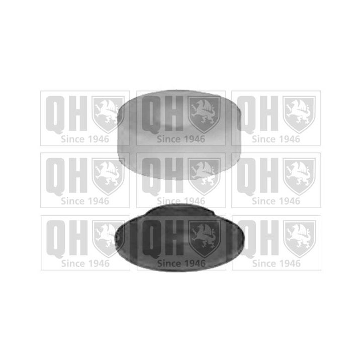 Valdymo svirties/išilginių svirčių įvorė QUINTON HAZELL EMS3035