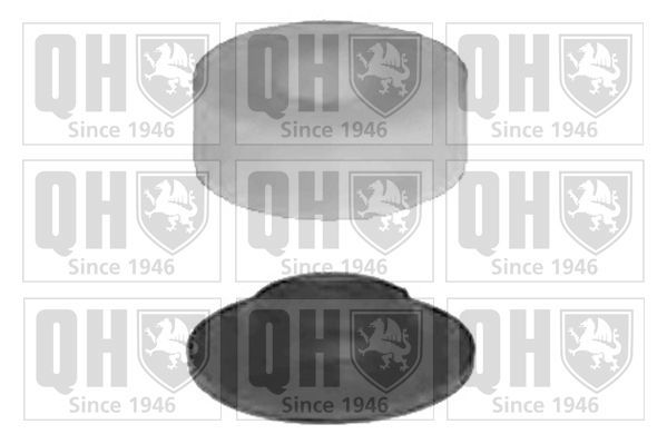 Valdymo svirties/išilginių svirčių įvorė QUINTON HAZELL EMS3035