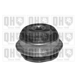 Valdymo svirties/išilginių svirčių įvorė QUINTON HAZELL EMS4091