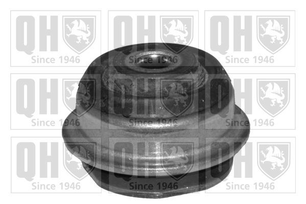 Valdymo svirties/išilginių svirčių įvorė QUINTON HAZELL EMS4091